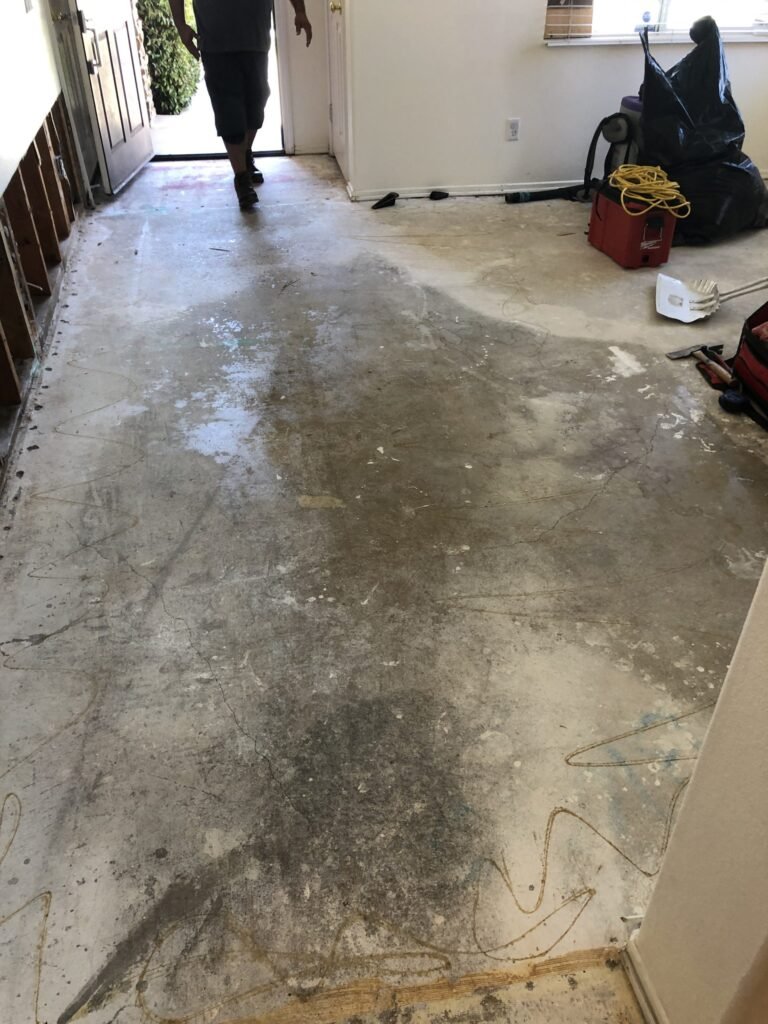 Flooring removed to expose an interior subfloor