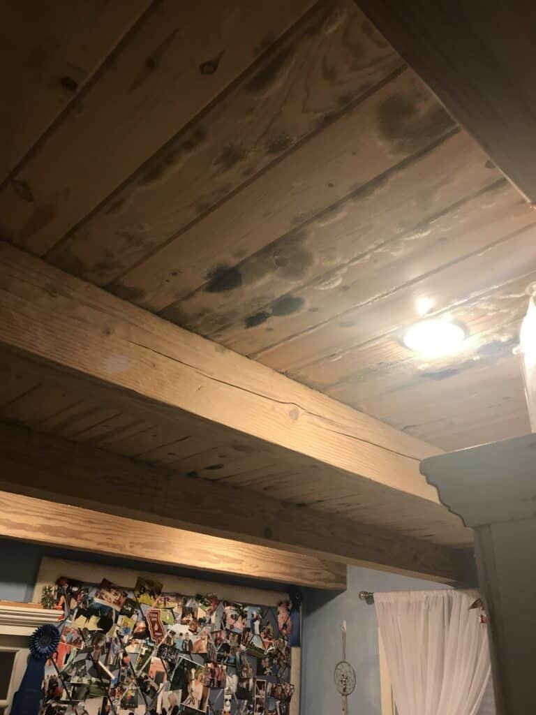 Exposed wood ceiling with dark discoloration