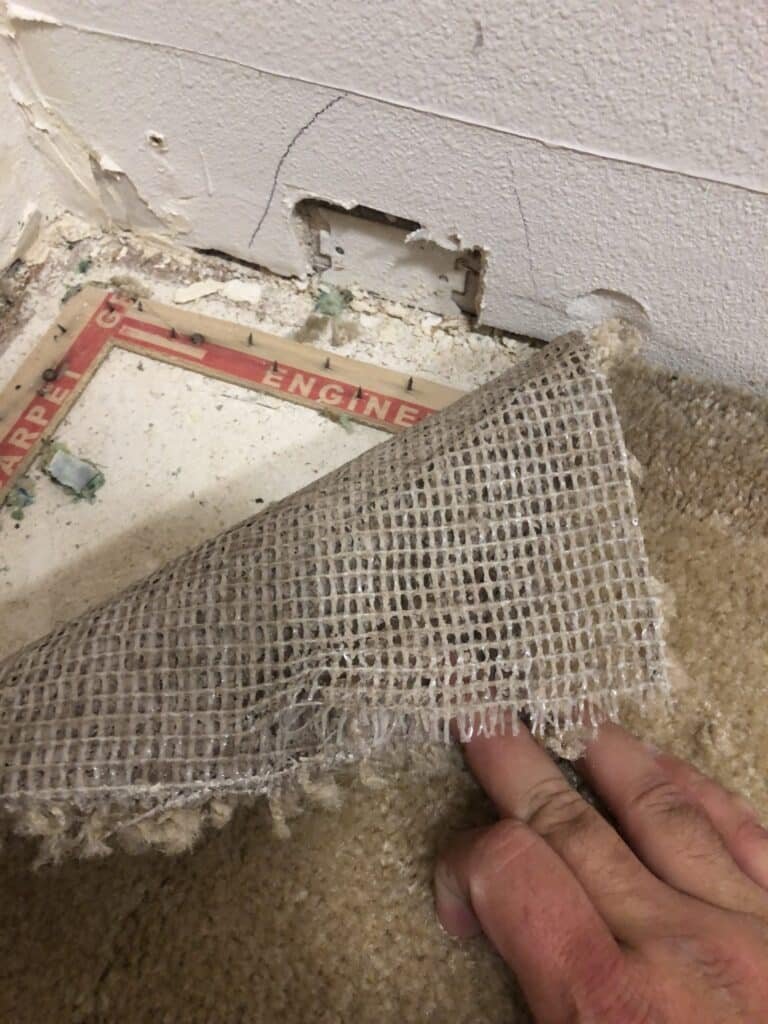 Wet carpet pulled back from the tack strip and subfloor beside a wall — Fillmore