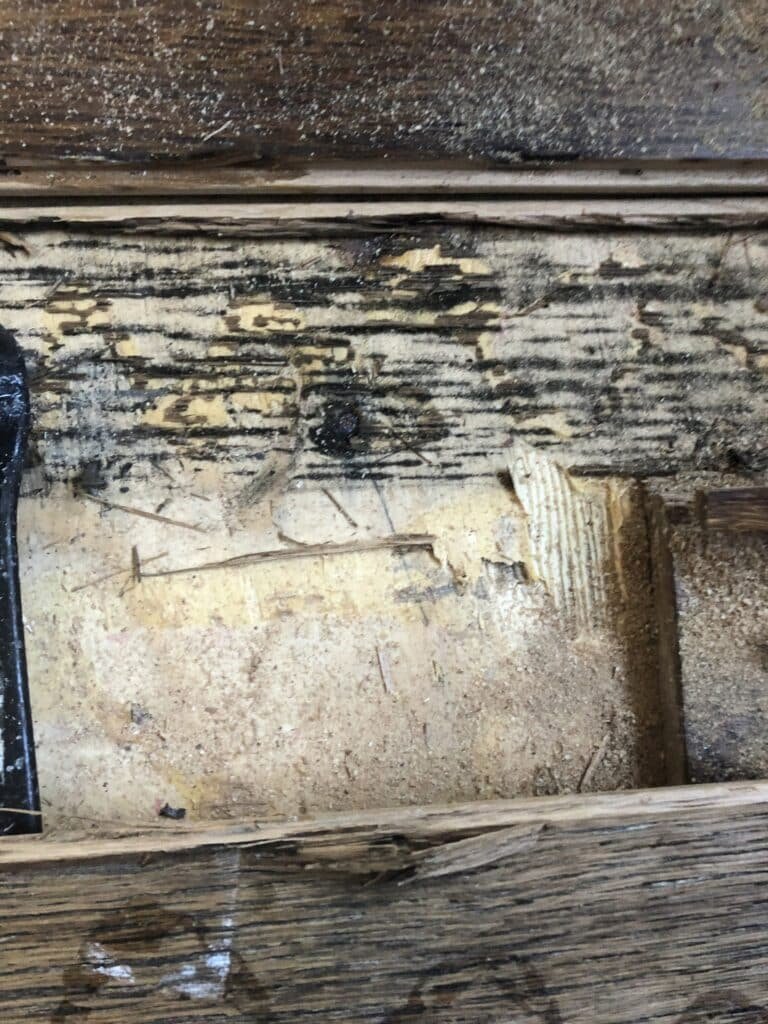Discolored framing and wall materials exposed during remediation — Thousand Oaks