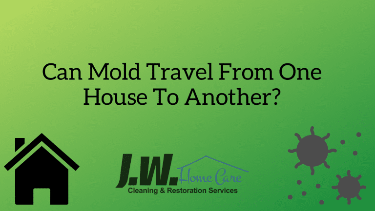 Can Mold Travel From One House To Another?