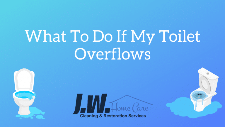 What To Do If My Toilet Overflows