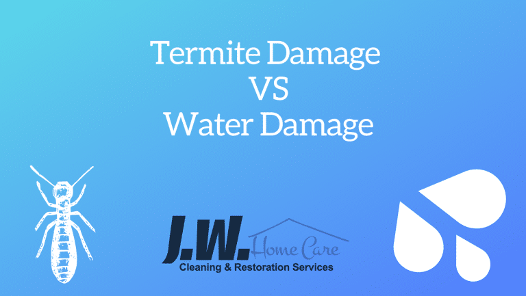 Termite Damage Vs Water Damage