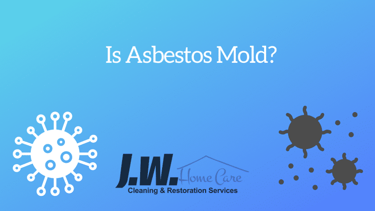 Is Asbestos Mold