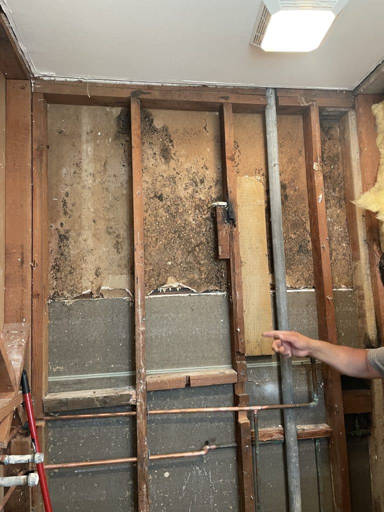 Mold Growth on Wall