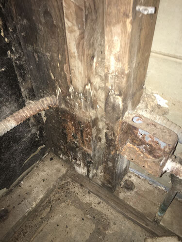 Mold Remediation Project