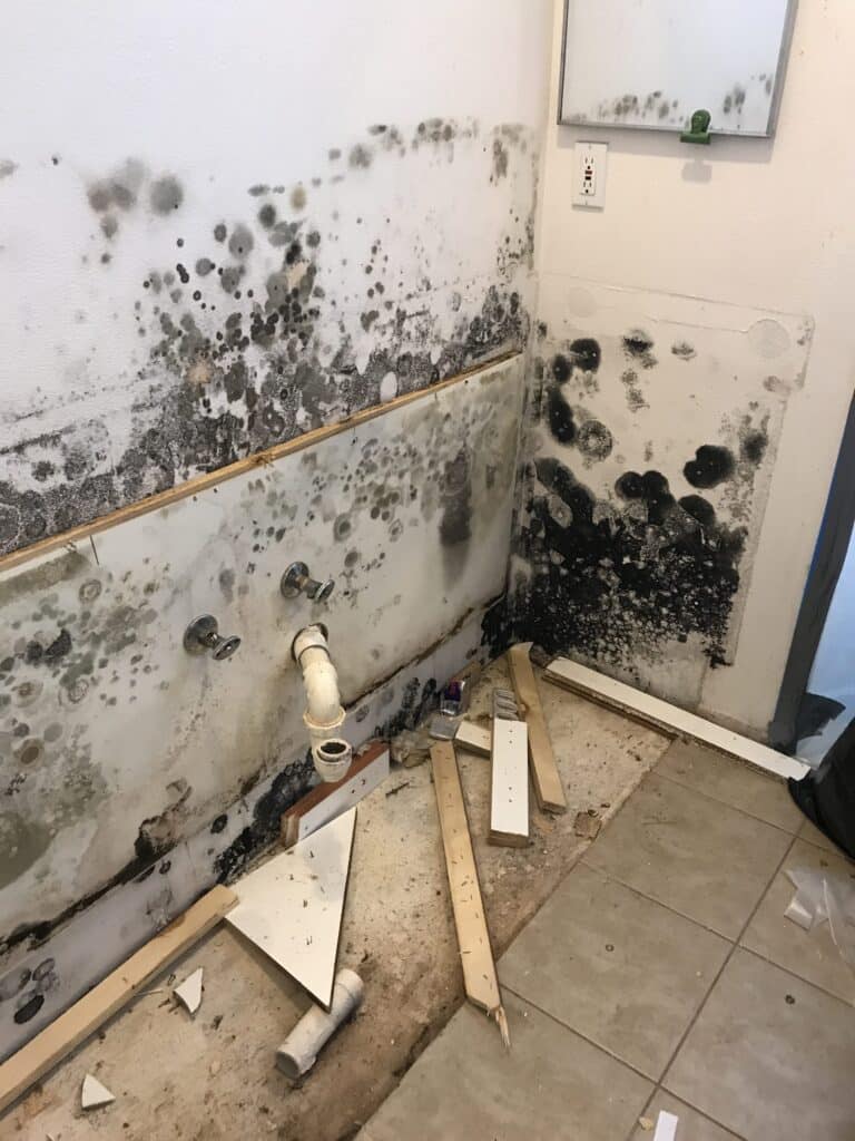 Mold Remediation Project in Simi Valley, CA