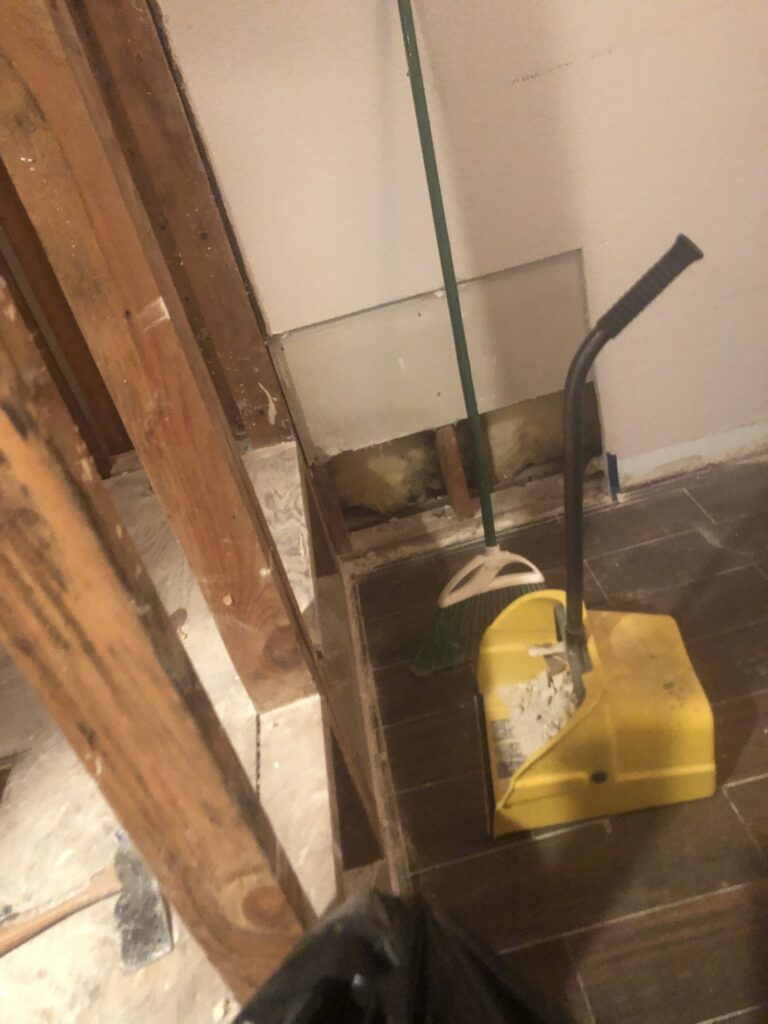 Mold Remediation Project in Moorpark
