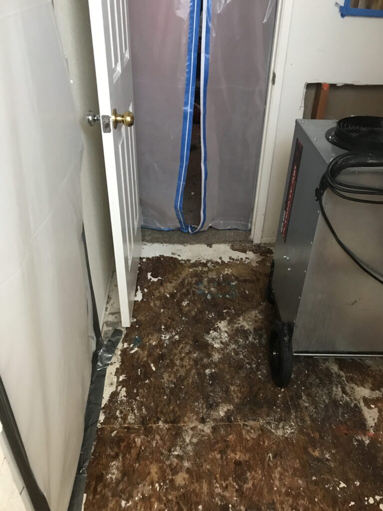 Mold Remediation Project in Simi Valley