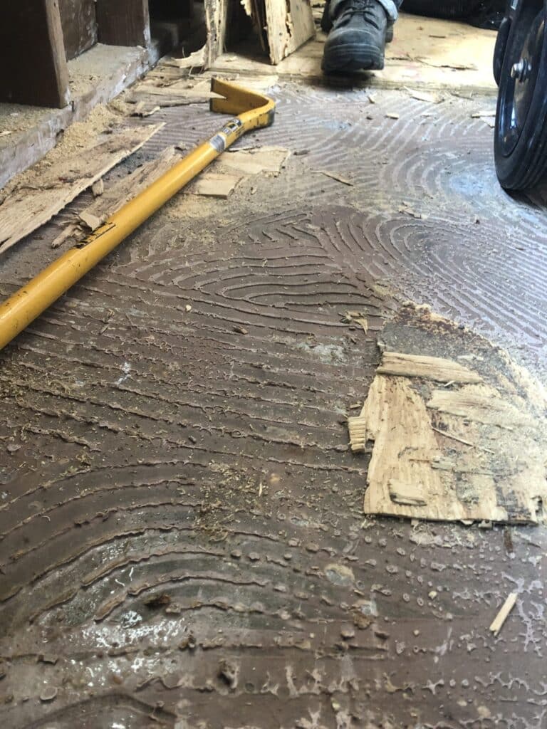 Mold Remediation Service Call in Thousand Oaks, CA