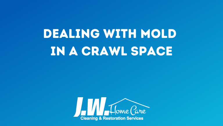 Mold in Crawl Space