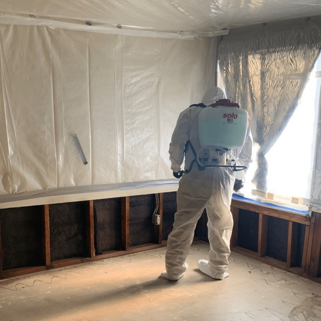 Trusted Mold Remediation in Thousand Oaks