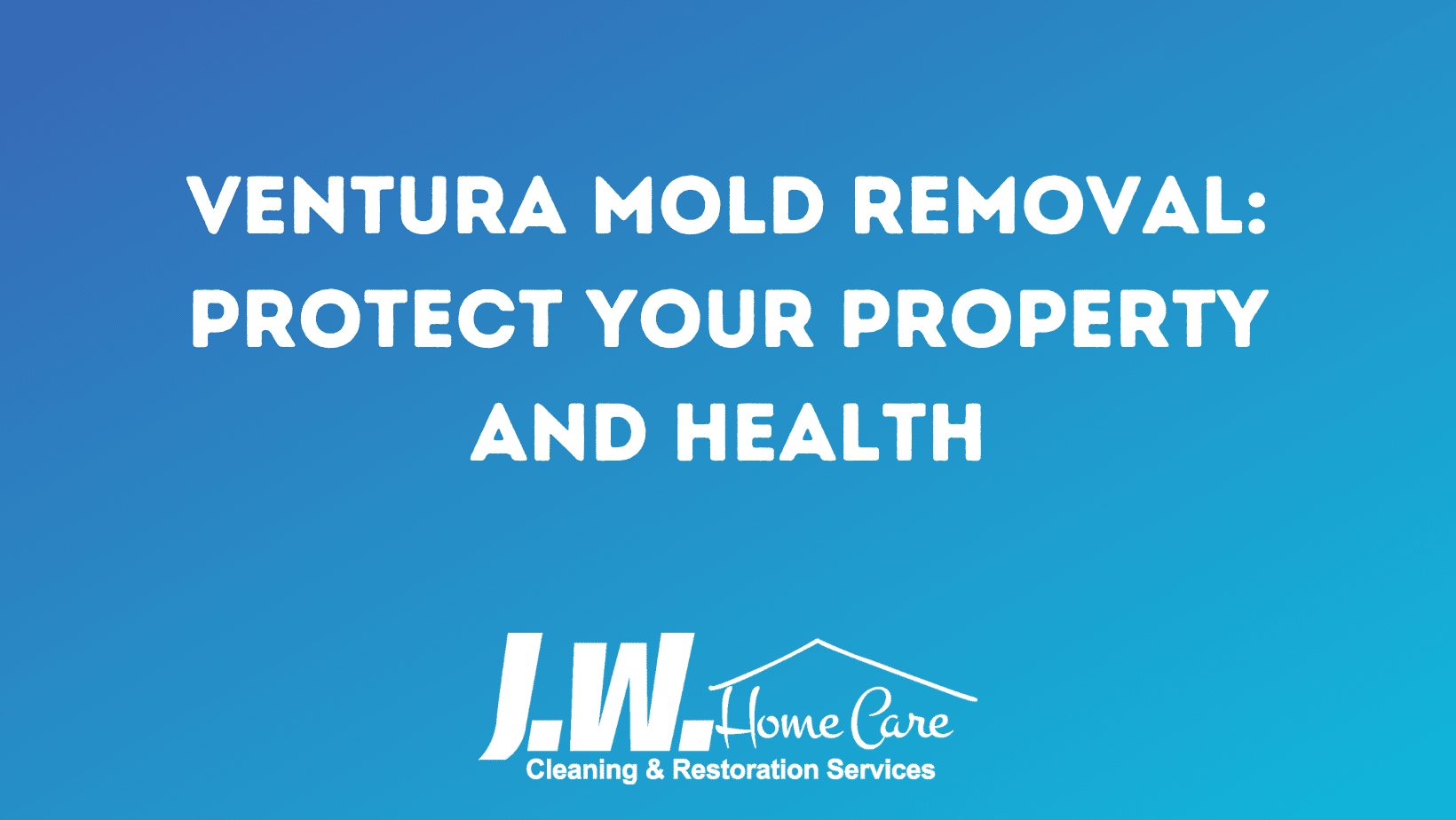 Ventura Mold Removal: Protect Your Property and Health