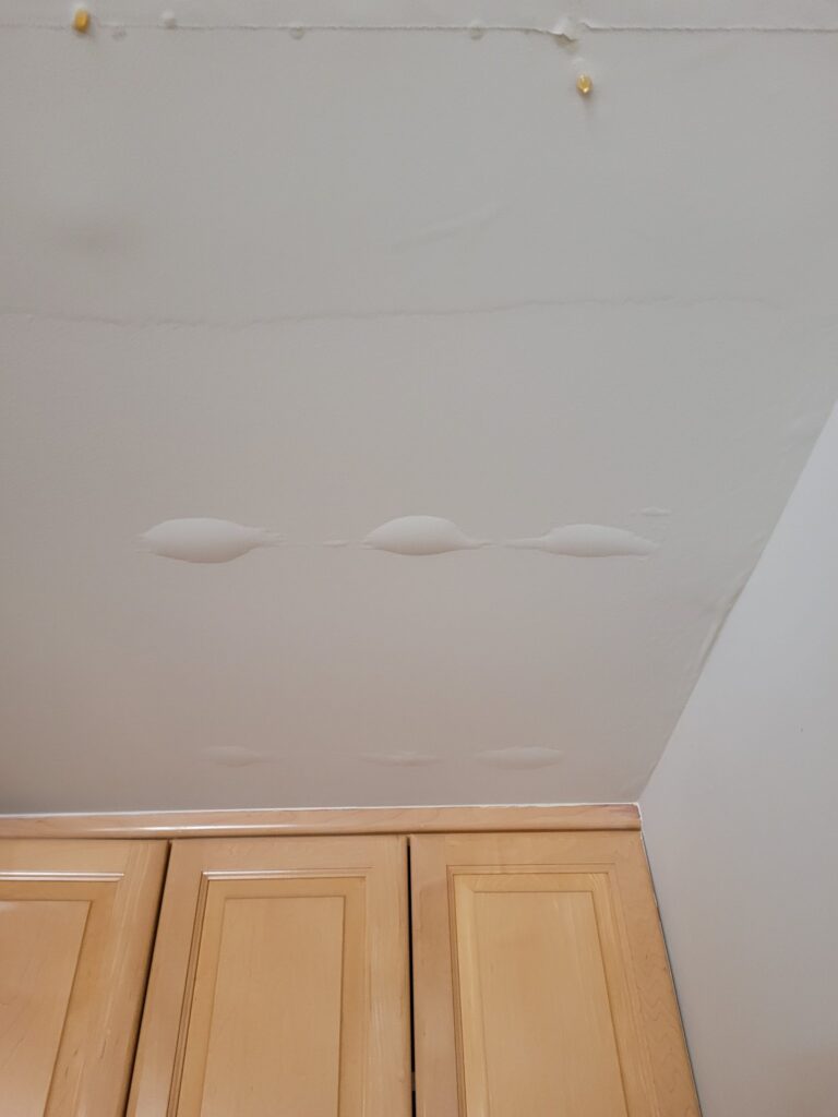 Water Damage Project in Newbury Park, CA