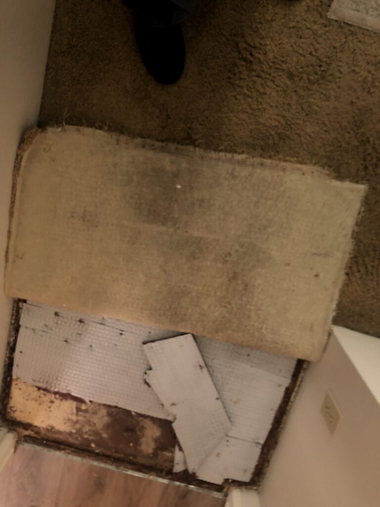Water Damage Restoration Project Santa Paula