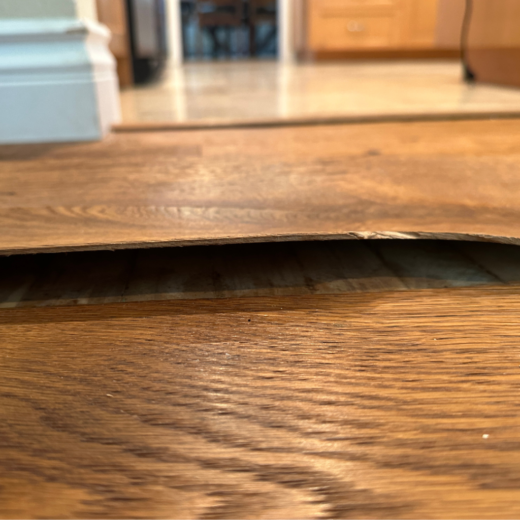 Identifying Water Damage